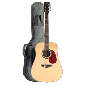 DS100 Solid Top Dreadnought Acoustic Guitar & Tuner