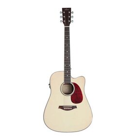 D50CEQ Dreadnought  Acoustic Guitar  Fishman pre-amp