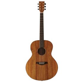 BDJ  Solid Wood  Acoustic Electric Guitar