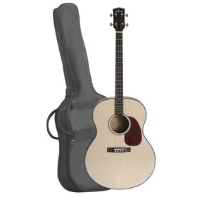 TG10 Tenor Guitar with Bag