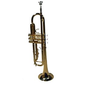 TR300 Trumpet Complete Kit including Hard Case