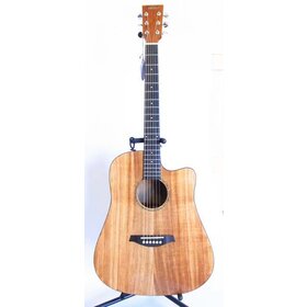 BDD10CEQ Solid Blackwood  Acoustic Electric Guitar