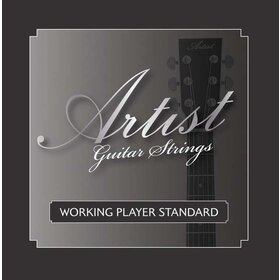 ACST1356 Acoustic Guitar Steel Strings Gauge 13-56