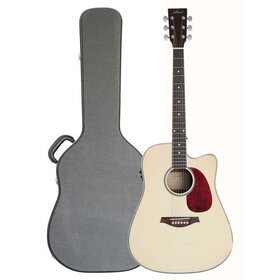 D50+C Dreadnought Size Acoustic Guitar & Hard Case
