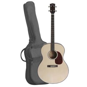 TG100 Tenor Guitar - Solid Top with Bag