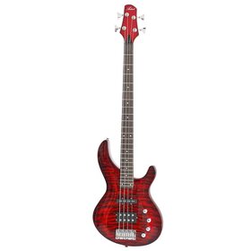 AG205FM RDS Electric Guitars