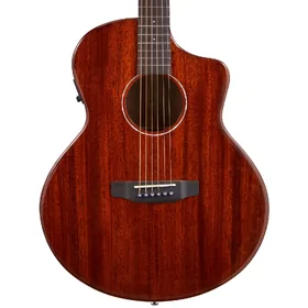 Artist JMH200IR Solid Top Acoustic-Electric w/ Impulse Response thumbnail