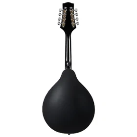 Artist MDA200EQ+C Sunburst Mandolin w/ Pickup & Black Hard Case thumbnail