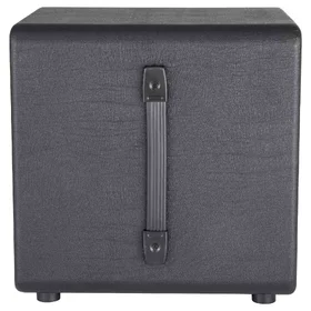 Customer Returned Artist BCN110 250 Watt 1x10 Inch Bass Guitar Amp Cabinet thumbnail