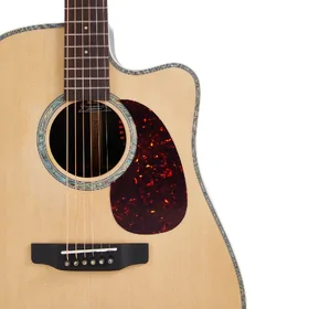 Artist DSR26SN Handbuilt Solid Wood Acoustic Guitar & Hard Case thumbnail