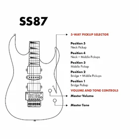 8003019 thumb