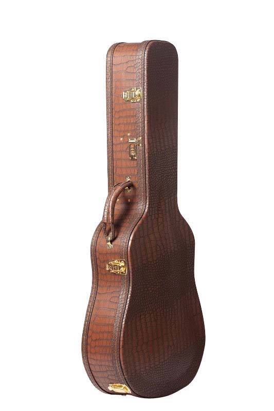 Artist DC12 12 String Dreadnought Acoustic Guitar Hard Case Brown