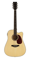 Artist Guitars Acoustic Guitar