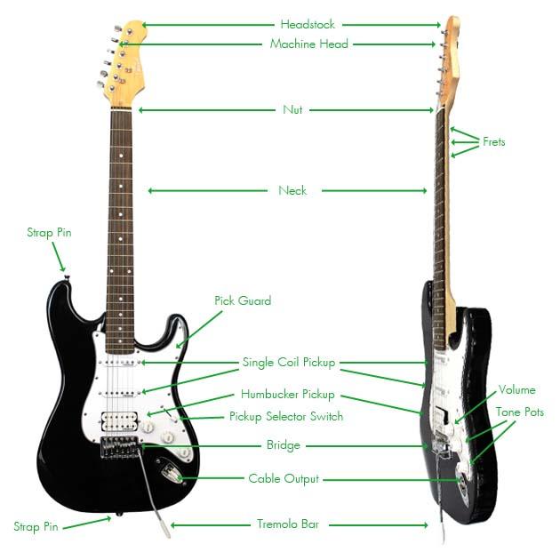Beginner Guitar Guides Parts of A Guitar