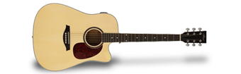 Artist Guitars Acoustic Guitar