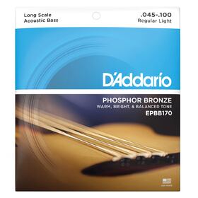 D'Addario EPBB170 45-100 Prosteel Acoustic Bass Strings 