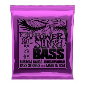 Ernie Ball 2831 Slinky Nickel Wound Bass Strings 55-110