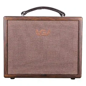 AGA SCX3P 40W Battery Powered Acoustic Amp w/ Bluetooth