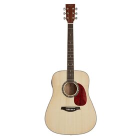 Artist DS120 Acoustic Guitar, Solid Top Dreadnought