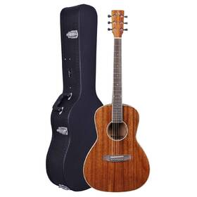 Damaged Artist PMH100EQ Solid Wood Parlour Acoustic-Electric with Hardcase