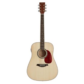 Customer Returned Artist DS120 Acoustic Guitar Solid Spruce Top Dreadnought