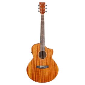 Customer Returned Artist JMH200CEQ Solid Mahogany Top Acoustic Electric